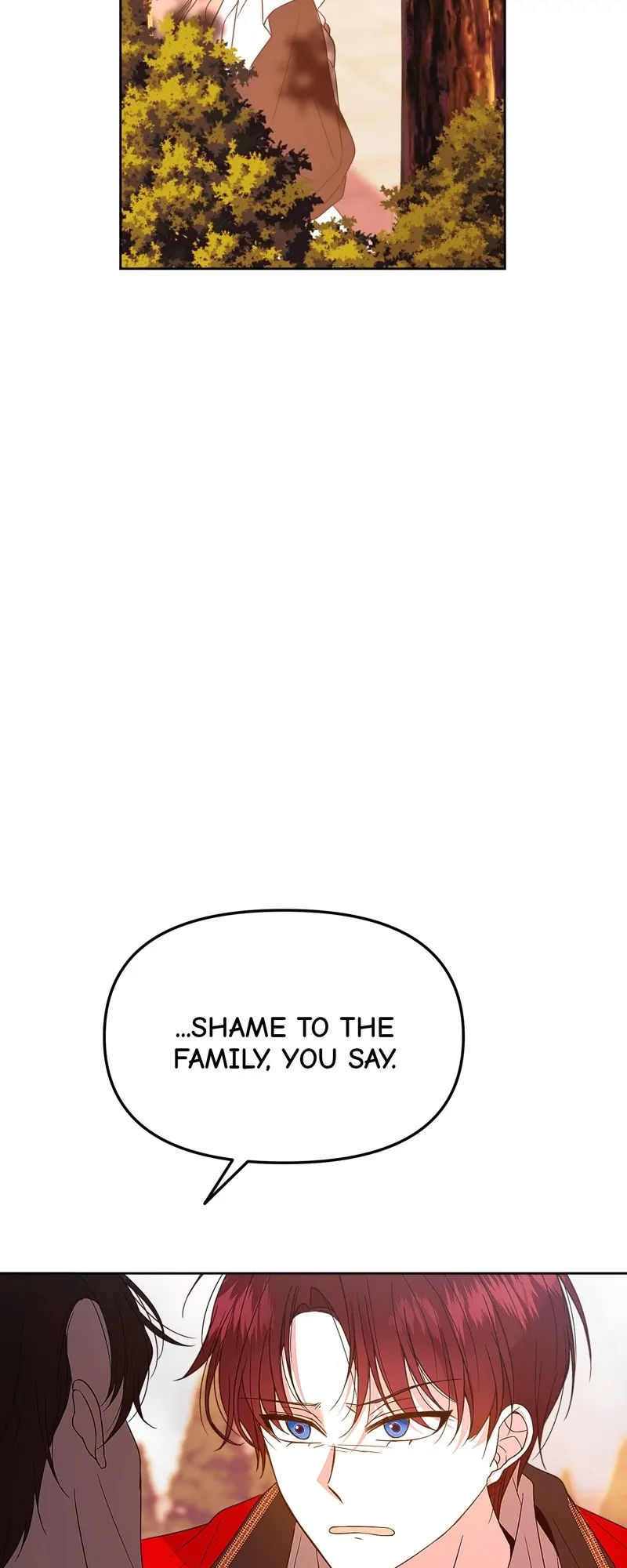 46528953 800 2000 70044